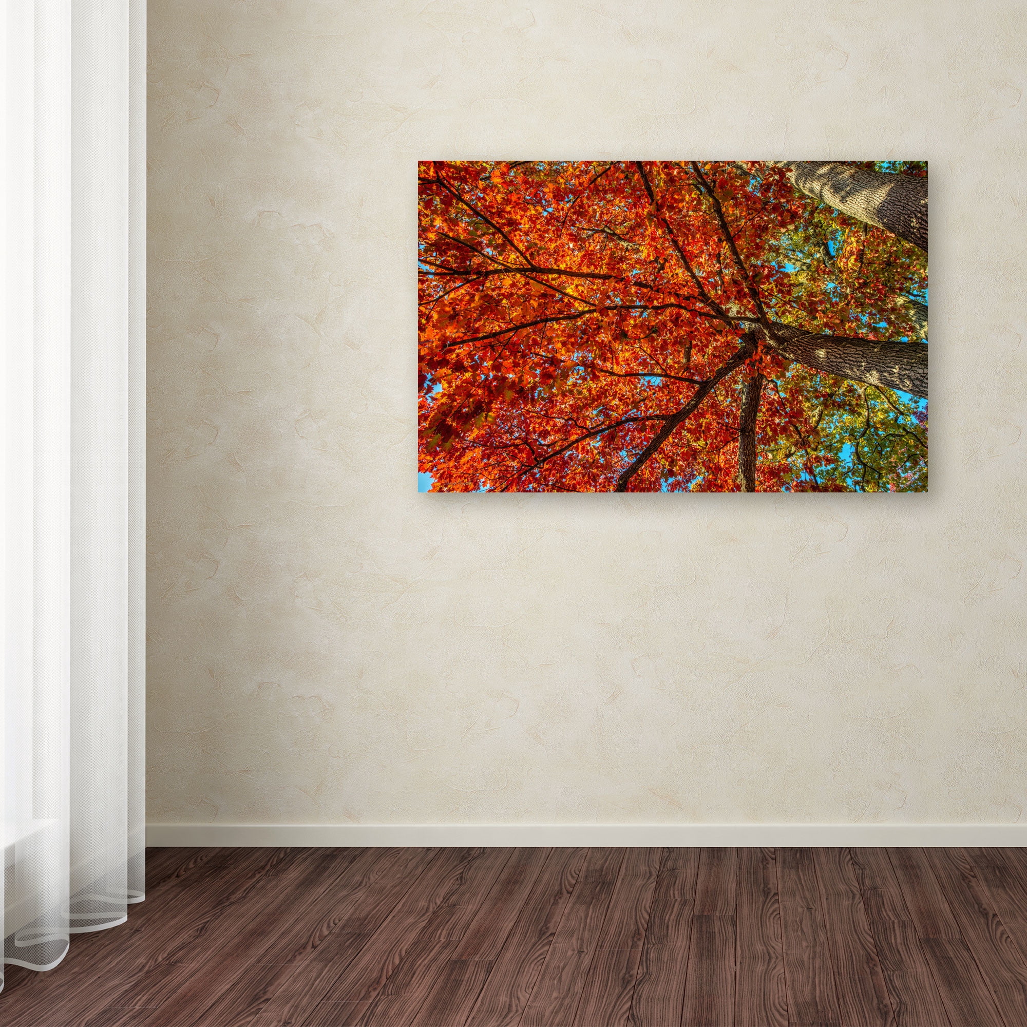Trademark Fine Art "New York Fall-II" Canvas Art by David Ayash