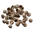 thumbnail image 1 of Bewildely 100 Unids Bellotas Naturales Bellotas Reales Tapas Hogar DIY Navidad Bellota Natural Kits de decoración para fiestas Tapas de bellota 100 uds/paquete, 1 of 1