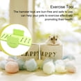 thumbnail image 2 of Langgg Hamster Swing PVC Seesaw Small Toy Bear Exquisite Deck DIY Colorful Playing Accessories Plate Interactive Activity Pets green, 2 of 9