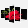 thumbnail image 2 of Hibiscus Rouge Vif sur Noir - Grande Impression sur Toile Florale, 2 of 3
