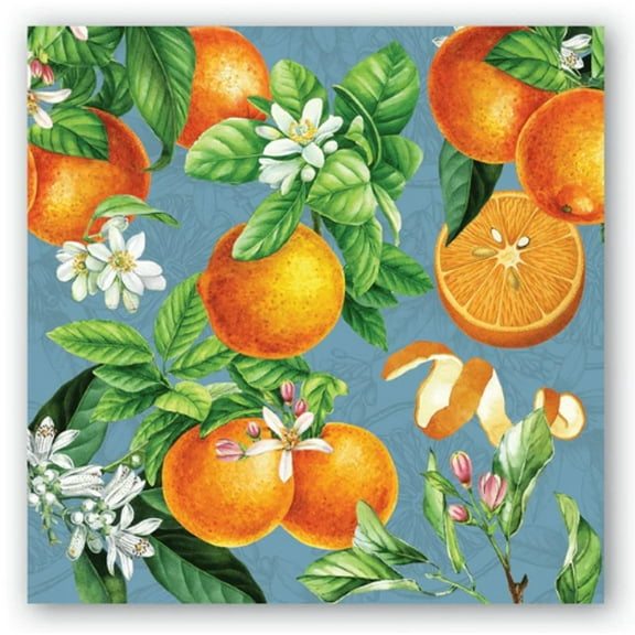 Michel Design Works Paper Beverage Napkins, L'Orange (814437)