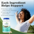 thumbnail image 7 of RidgeCrest Herbals AirwayClear, Lung Health and Breathing Support Supplements with Schisandra Fruit, Cassia Bark and Ginger Root, Sinus, Mucus Support, Gluten Free (60 Vegan Caps, 30 Serv), 7 of 7
