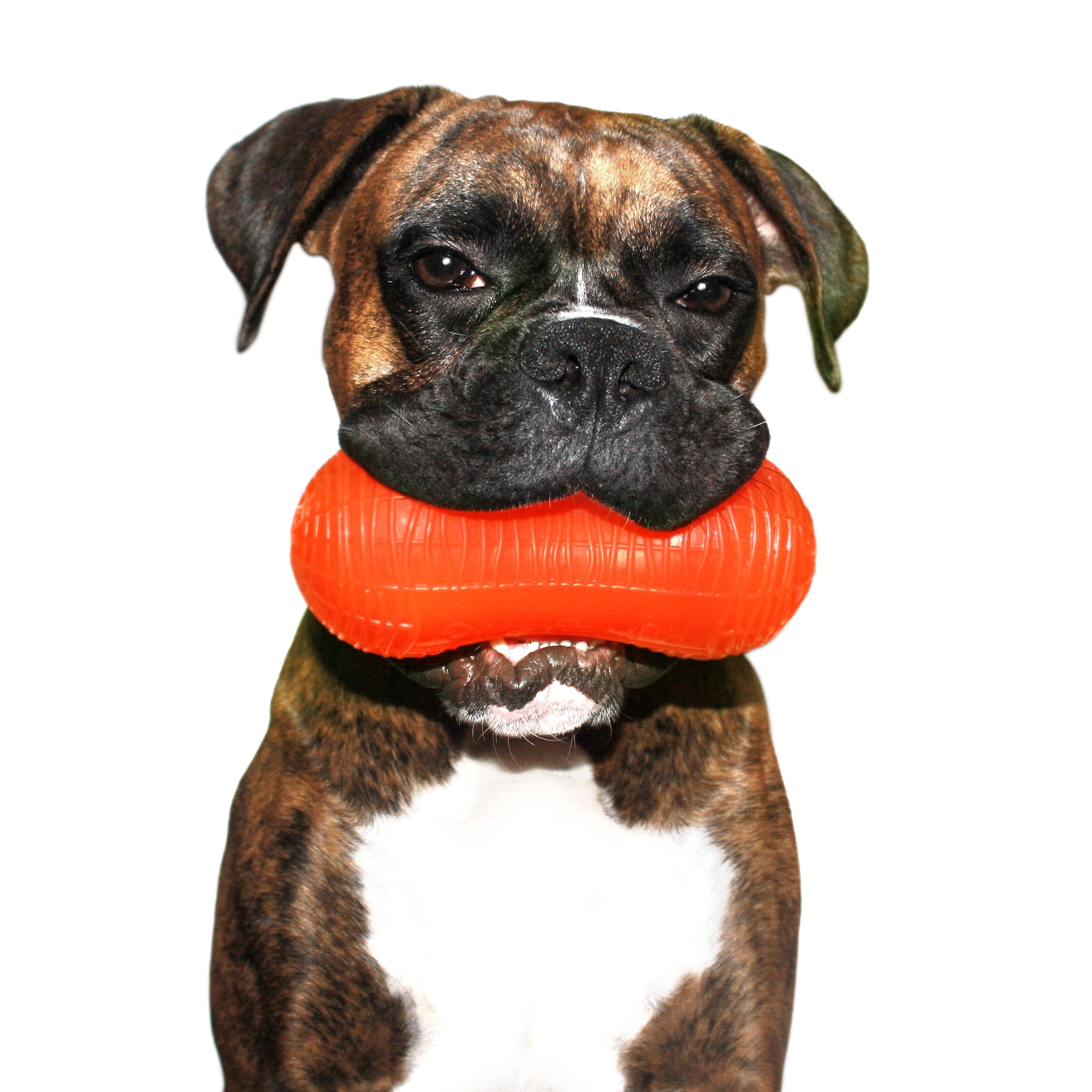 Ruff Dawg Peanut Crunch Rubber Indestructible Retrieving Dog Toy, Color Varies