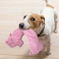 thumbnail image 3 of GiGwi 20" Squeaker Skinnies Pig Dog Toy, 3 of 5