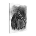 thumbnail image 2 of Trademark Fine Art 'Charcoal Equestrian Portrait III' Canvas Art by Naomi McCavitt, 2 of 4