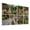 Color 3, variant on 8 Pack Art Acoustic Panels Sound Absorbing Appalachian Trail Roan Mountains Rhododendron Bloom Blue Ridge Decorative Soundproof Wall Panels Self Adhesive for Nursery Game Room Bedroom 48"x32"