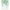 Green, variant on AUQ Shower Curtain Liner,70.87*78.74In Shower Curtain Cute,Polyester Cloth Shower Curtain