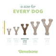 thumbnail image 4 of Juguete para Masticar Benebone Sabor Mantequilla de Maní Diseño Wishbone, 4 of 6