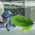 thumbnail image 2 of Fishtanks Decoration for Bettas Fish Resting Bed Hammock Spawning Bed for Bettas Aquariums Landscaping Accessory, 2 of 6