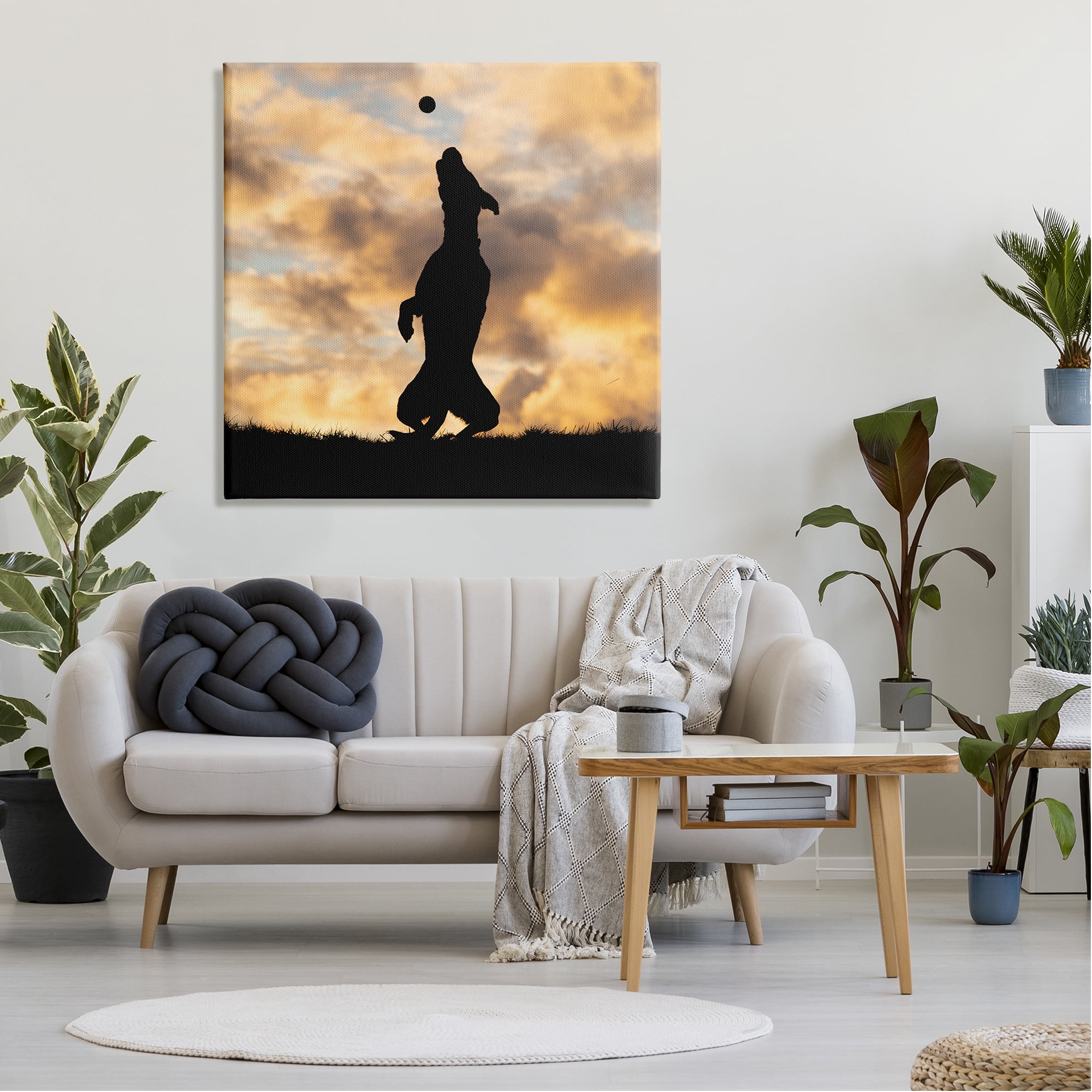 Stupell Industries Dog Playing Sunset Silhouette Animals & Insects Photography Gallery Wrapped Canvas Art Print Wall Art, 36 x 36