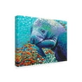 thumbnail image 2 of Trademark Fine Art 'Sea Sweetheart II' Canvas Art by Carolee Vitaletti, 2 of 4