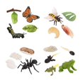 thumbnail image 1 of Animales de plástico fijos. . biológicas. Científico, 1 of 9