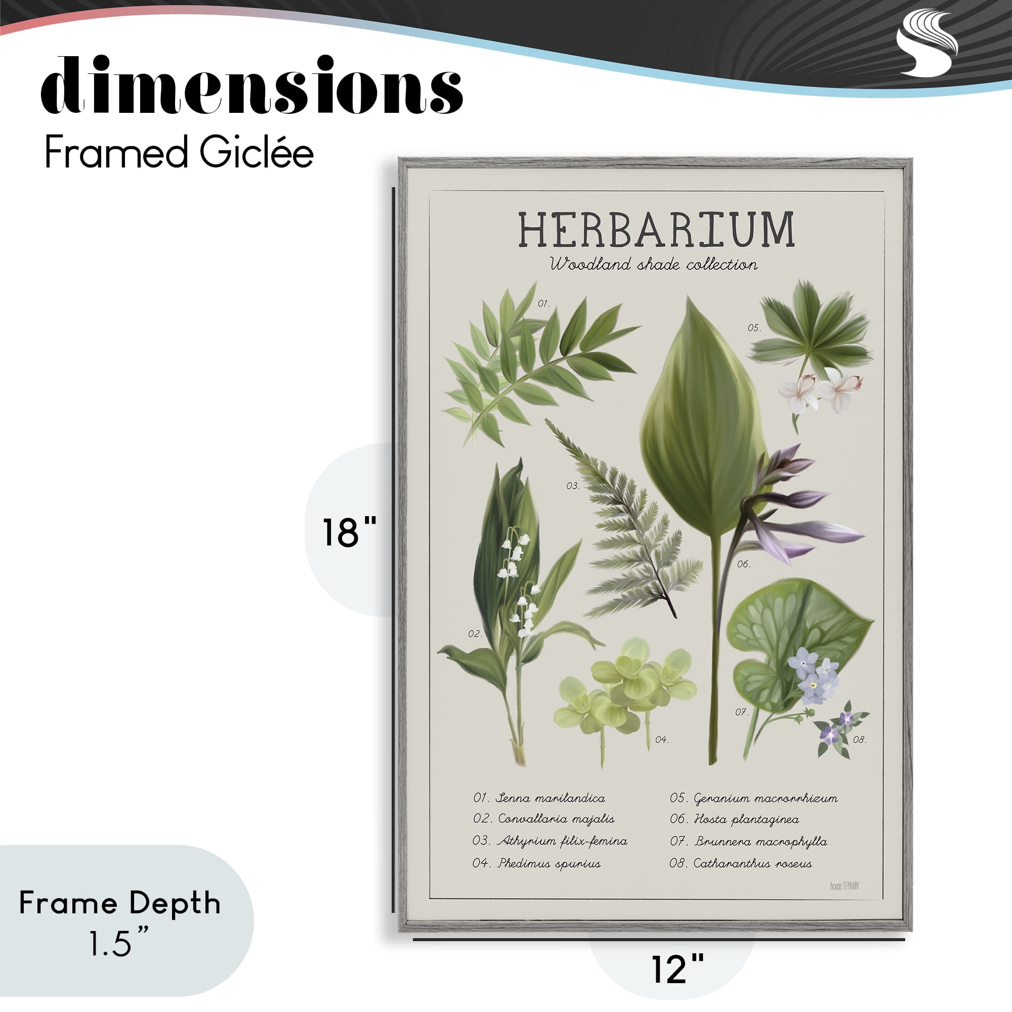 Stupell Industries Herbarium Woodland Shade Collection Gray Framed Giclee Art, design by House Fenway