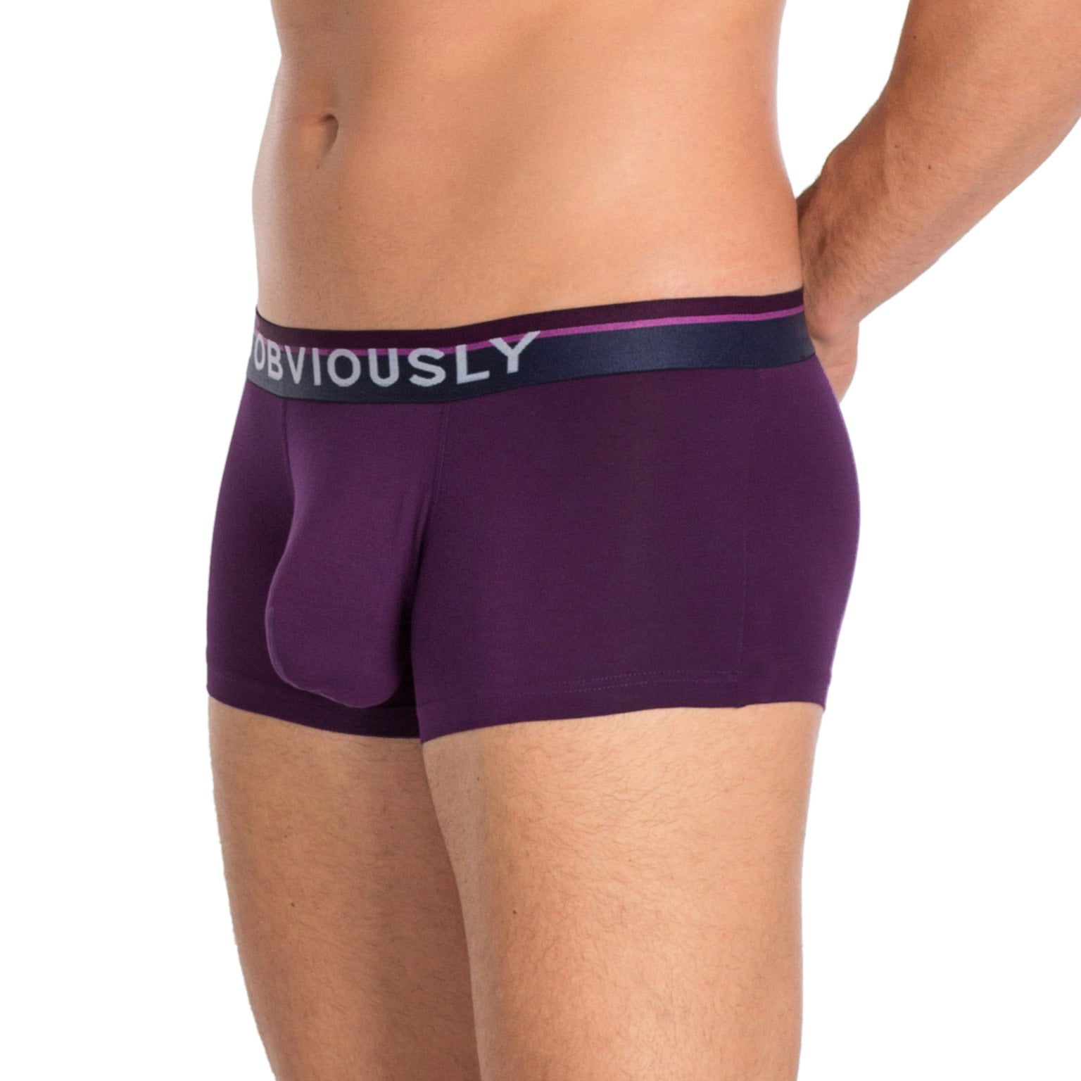 Obviously Men's PrimeMan Trunk Underwear (Purple, Small) 