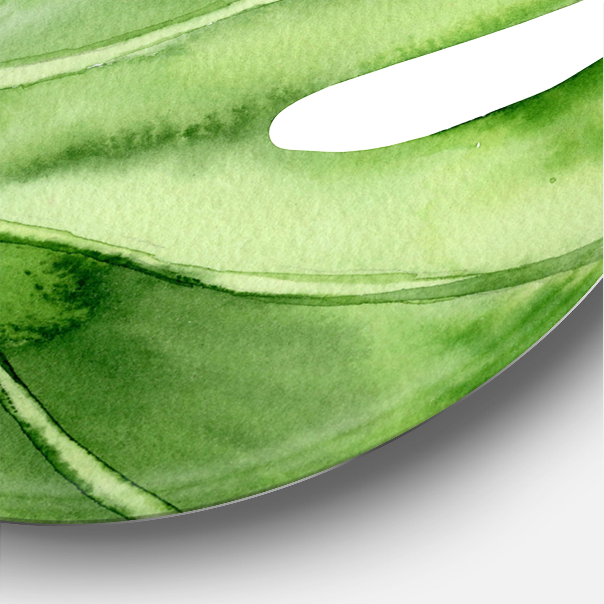 Designart 'Close Up Green Monstera Leaf Tropical Palm' Tropical Circle Metal Wall Art 36x36 - Disc of 36