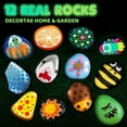 thumbnail image 5 of Joyfy Glow in the Dark Rock Painting Arts and Crafts Kit, Creative Fun for Kids Ages 6+, 5 of 11