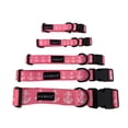 thumbnail image 3 of K-9 Beltz Classic Style Dog Collar with Buckle (Large) 40.6-63.5 cm / 16-25", 3 of 4