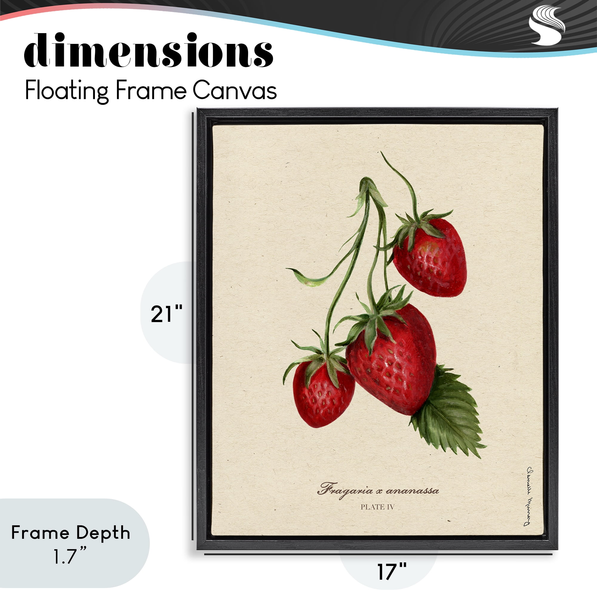 Stupell Industries Strawberry Fruit Portrait Black Framed Floater Canvas Wall Art, design by Danielle Murray