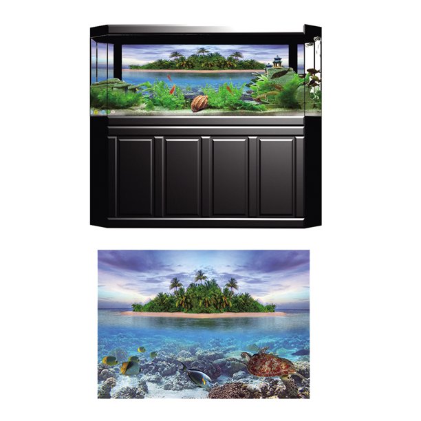 Fondo Etiqueta Engomada de Pintura Acuario Colco tamaño XS