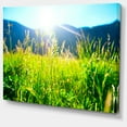 thumbnail image 2 of Belle Nature Verte - Impression sur Toile Paysage, 2 of 4