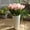 Pink, variant on VerPetridure Mini Tulip Artificial Flower Fake Flower Mw08081 Pink Artificial Fake Flowers Tulip Bouquet Floral Wedding Bouquet Party Home Decor PK