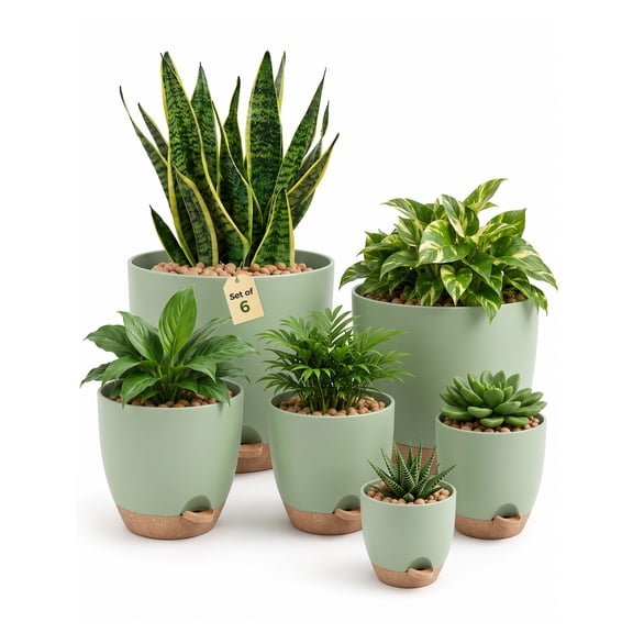 Indoor Self Watering Planters with Drainage Holes and Saucers, 8, 7, 6.5, 6, 5.5, 5 Inches, Green, 6 Pots