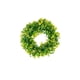 thumbnail image 2 of Soplador, Aspiradora y Triturador de Hojas Eléctrico Inalámbrico | Sopla, Aspira y Tritura Hojas | Herramienta de Jardinería para Exteriores | Limpia Céspedes, Entradas de Vehículos y Canalones, 2 of 7