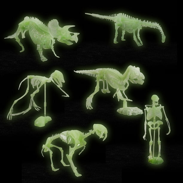 Xihbxyly Almacén de Liquidación 6 Piezas Esqueleto Humano de Dinosaurio Modelo de Ensamblaje