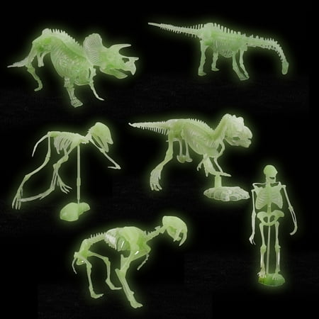 

Wlylongift Christmas Black X Friday 6Pcs Noctilucent Dinosaur Human Skeleton Model Assembly Skull Toy Bones Decor