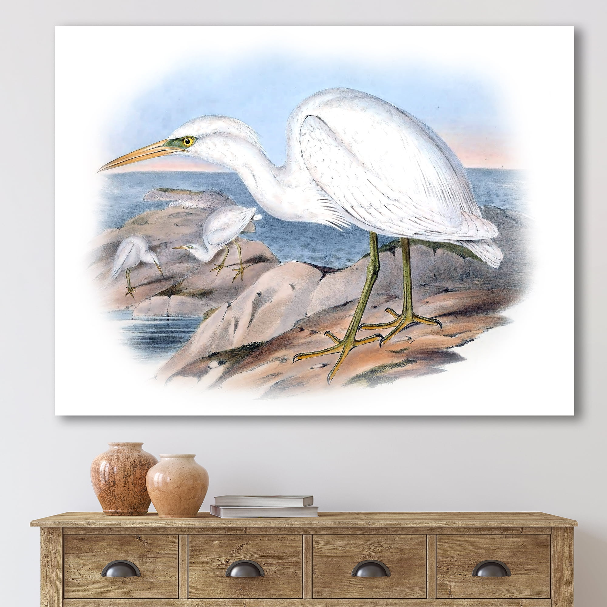 Designart ' Ancient Australian Birds XIII ' Traditional Canvas Wall Art Print