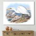 thumbnail image 2 of Designart ' Ancient Australian Birds XIII ' Traditional Canvas Wall Art Print, 2 of 4