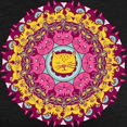 thumbnail image 3 of CafePress - Mandala Cats T Shirt - Womens Tri-blend T-Shirt, 3 of 4