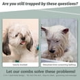 thumbnail image 3 of Grooming Tool Double-Sided Undercoat Rake for Dogs,Combs Brush, 3 of 5