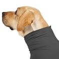 thumbnail image 4 of Camisas calmantes alternativas para perros de cobertura completa, cuello redondo, ansiedad canina femenina y masculina para rehabilitación quirúrgica de mascotas - gris, 4 of 5
