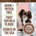 thumbnail image 4 of Merrick, Fresh Kisses Brush - Coconut - Dog Treat, 4 of 5