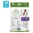 thumbnail image 2 of Dental Treat, Toothbrush Star Value Pouch -S-24 Pc, 2 of 5