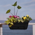 thumbnail image 2 of Bloem Lucca 18" Plastic Self-Watering Balcony Box Planter with Metal Hanger Mount for Railings, Black, 2 of 7