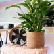 thumbnail image 2 of Maceta de Algas Marinas - Tejida Cesta Decorativa para Plantas con LáMina PláStico en Estilo Bohemio S, 2 of 5