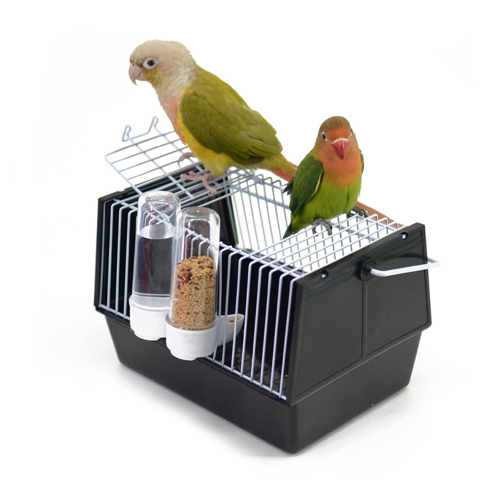 parrot carrier