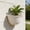Beige, variant on Wicker Style Half Round Wall Mounted Flower Pot, Outdoor Garden Planter for Hydroponic Home Decor, Blue