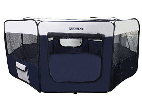 large kitten playpen