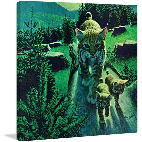 "Bobcat Family" Painting Print on Wrapped Canvas