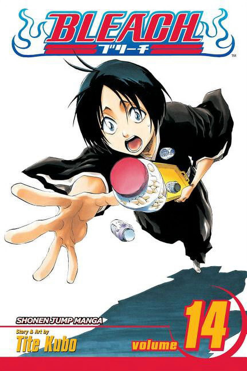 Bleach Bleach, Vol. 16: Knight of Wijnruit, Book 16, (Paperback