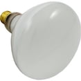 thumbnail image 1 of Pentair Aquatic Systems 79102100 500-watt 120-volt Bulb Replacement, 1 of 1