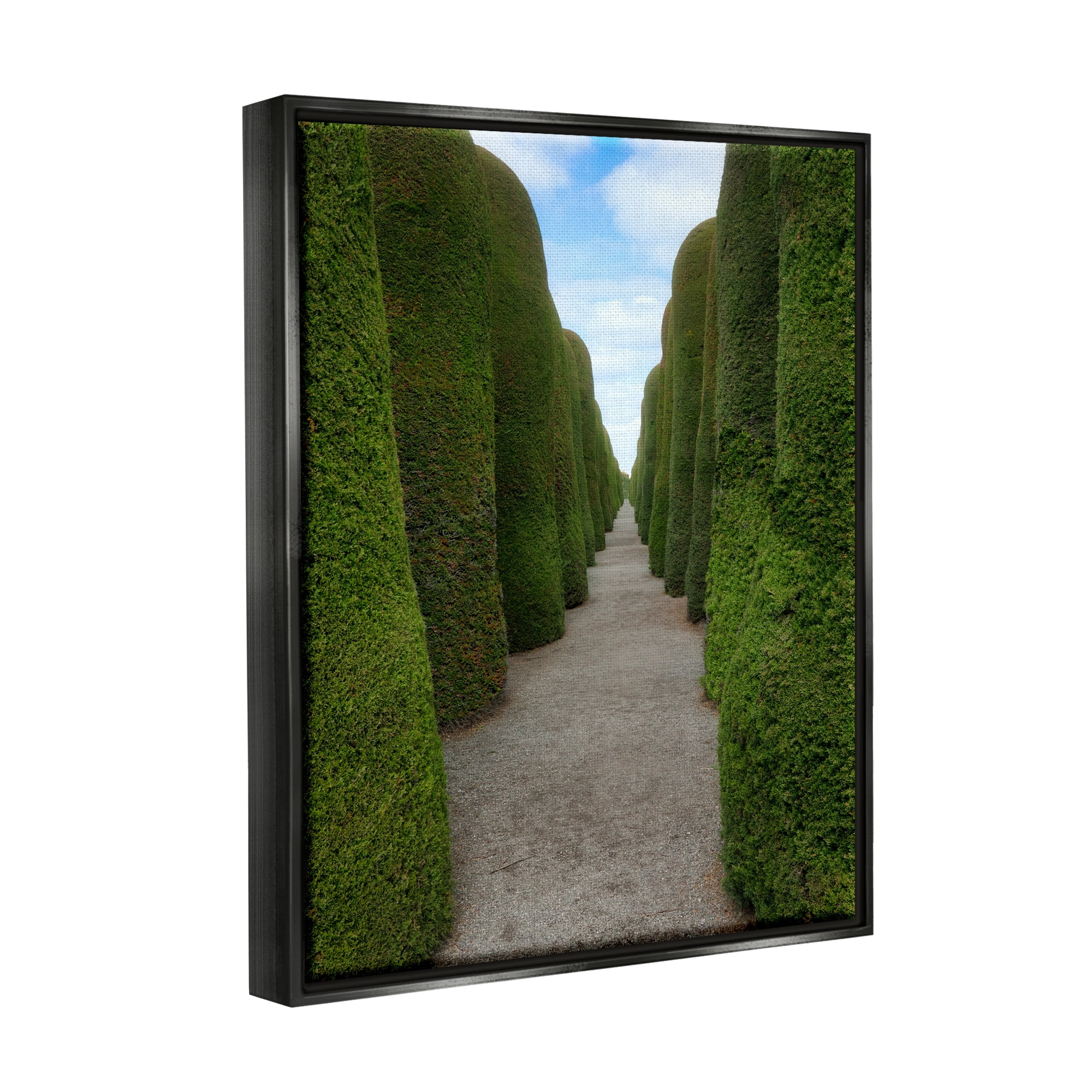 Stupell Industries Topiary Trees Hedge Pathway Landscape Photography Black Floater Framed Art Print Wall Art
