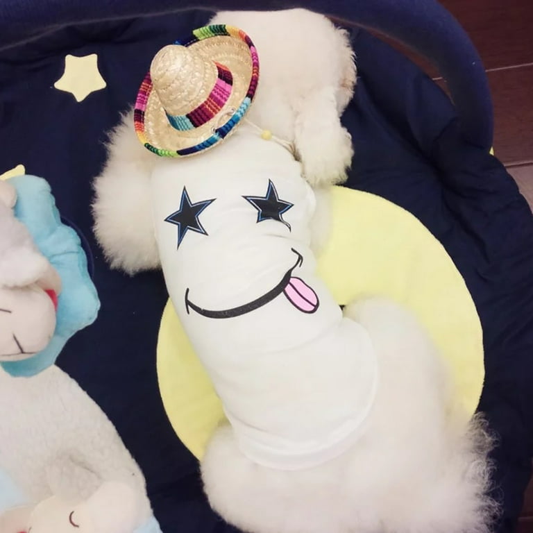 Cat mariachi costume hot sale