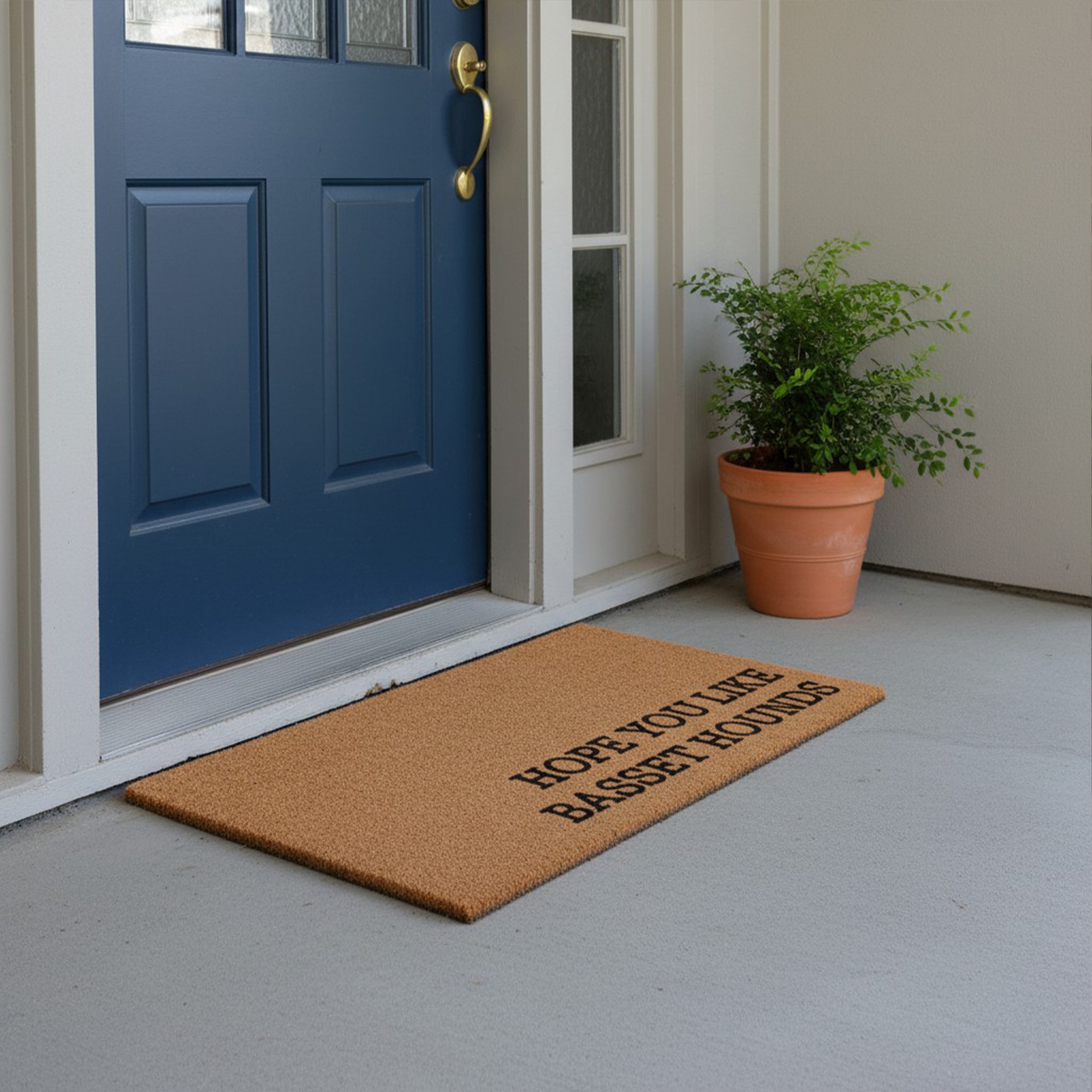 Hope You Like Basset hounds Non Slip Vinyl Backing, Front Doormat, Entryway Doormat, 24x36