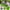 Green, variant on Openpig Grow Bags Thickened Plant Grow Bags Multi-Purpose Nonwoven Fabric Pots with Durable Handles, Outdoor Garden Plant Pots for Fruits Vegetables Flowers Herb Bonsai Plants(15.7 inch)