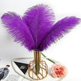 thumbnail image 5 of Nvzi 24 piezas de plumas de avestruz amarillas naturales a granel de 10 a 12 pulgadas, 25 a 30 cm, para centros de mesa de bodas, fiestas, Pascuas, Gatsby y decoración del hogar, plumas de avestruz, 5 of 5