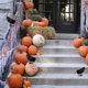 thumbnail image 3 of Cuervos Negros De Halloween, Utilería Artificial, Simulación De Pájaro, Juguetes Falsos De Animales, Decoraciones De Pascua, Señuelo De Pájaros Disuasorio Para Exteriores Monstrate HA020137-00, 3 of 5